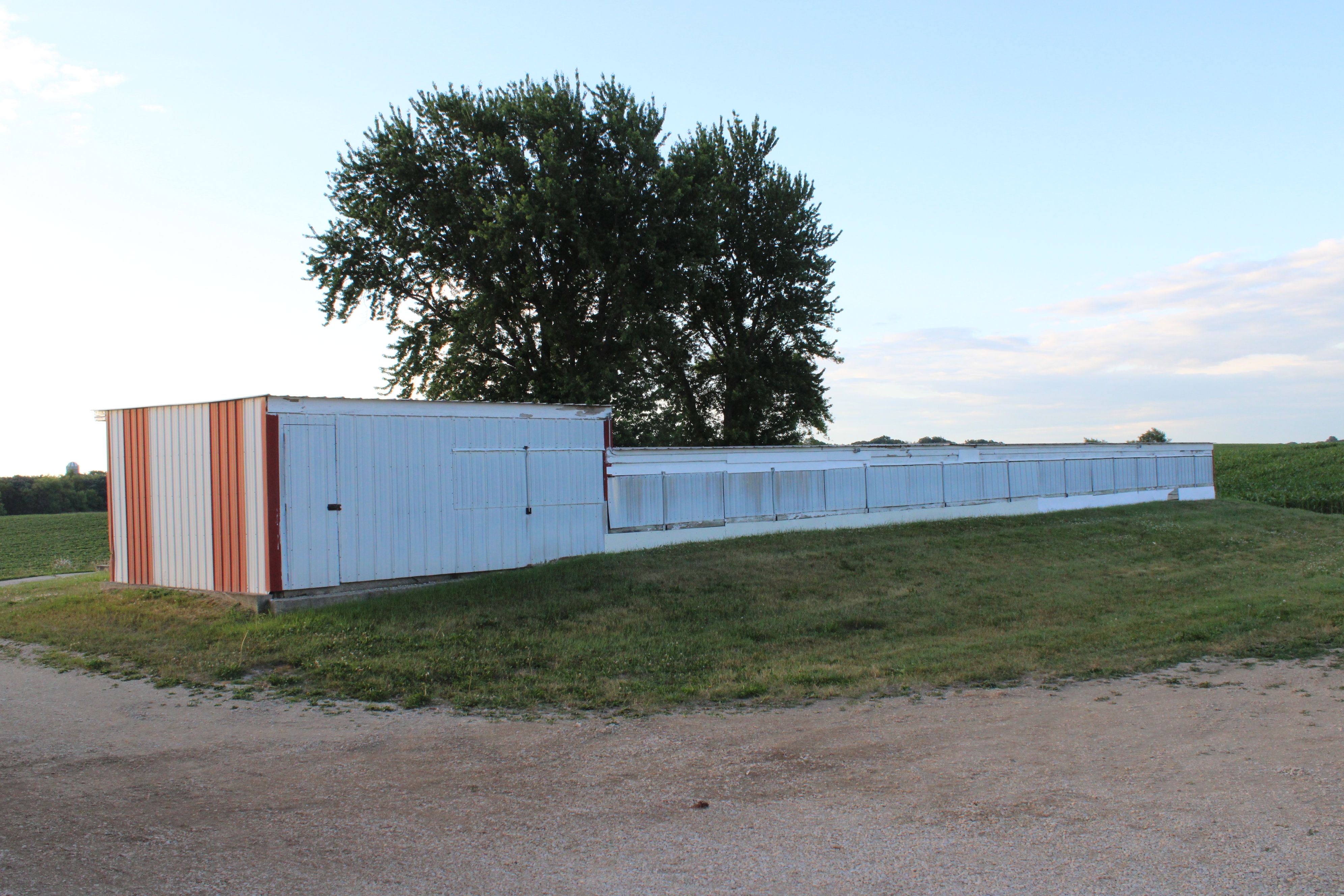 Listing Photo: Farmsite Acreage Kasson Minnesota Dodge County Southern Minnesota